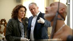 Bibi Fellner (Adele Neuha), Moritz Eisner (Harald Krassnitzer)