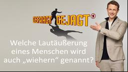 Best-of: Die lustigsten Antworten bei "Gefragt – Gejagt"