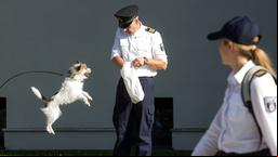 Christoph Grunert mit WaPo-Hund Stulle bei einer Probe vor der Wache.