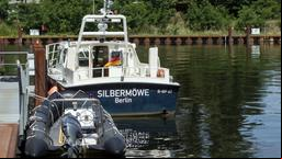 Die Silbermöwe liegt im Hafenbecken vor der Wache in Treptow-Köpenick.