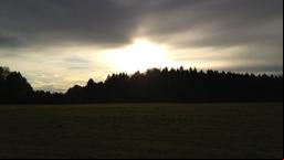 Sonnenuntergang hinter dichtem Nadelwald