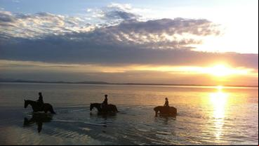 Drei Reiter reiten mit ihren Pferden im Wasser vor einem Sonnenuntergang
