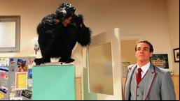 Moritz als Gorilla mit Xaver